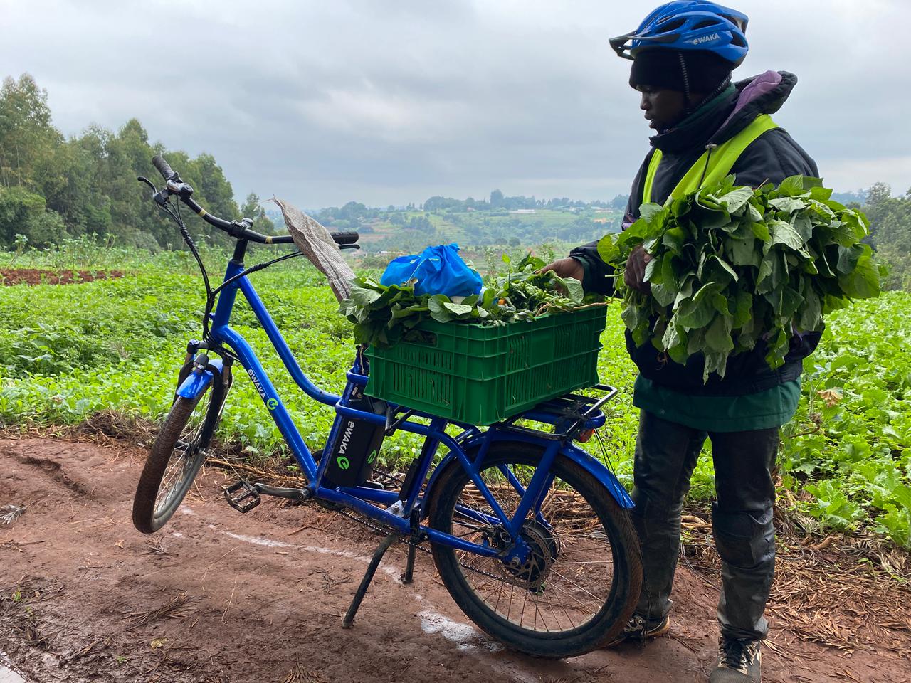 Sign up illustration 3